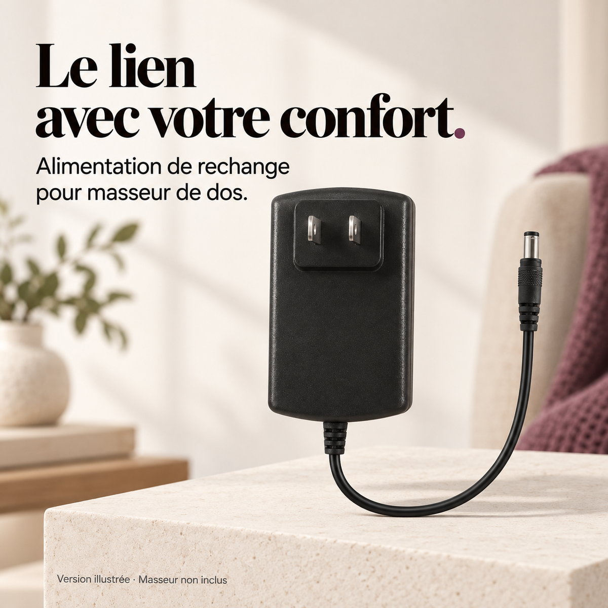 Adaptateur 4,0 A pour masseur de dos : présentation du modèle, visuel 2.