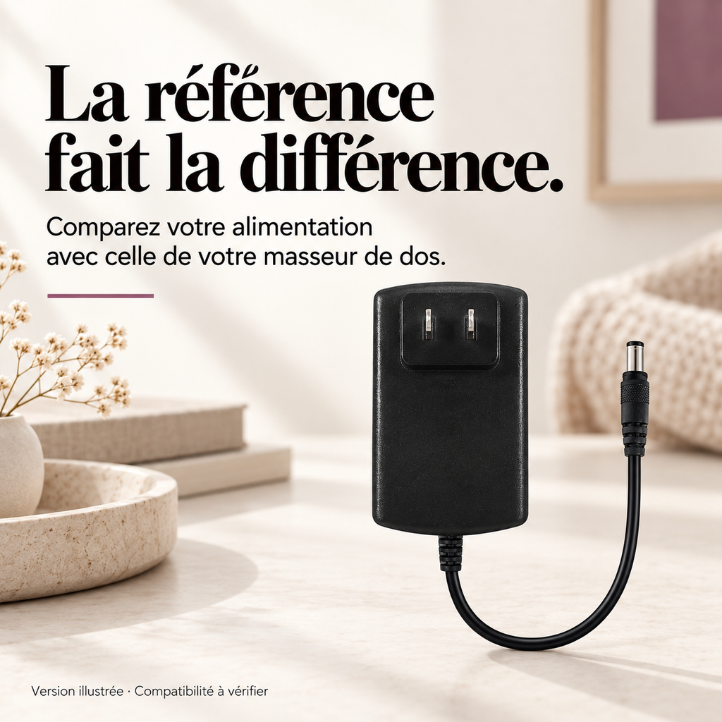 Adaptateur 4,0 A pour masseur de dos : présentation du modèle, visuel 3.