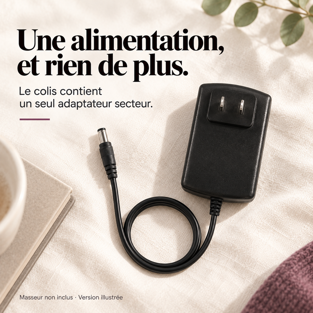 Adaptateur 4,0 A pour masseur de dos : présentation du modèle, visuel 7.