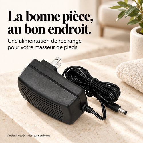 Adaptateur secteur pour masseur de pieds : présentation du modèle, visuel 2.