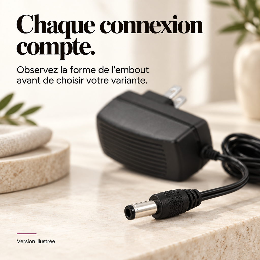 Adaptateur secteur pour masseur de pieds : présentation du modèle, visuel 5.