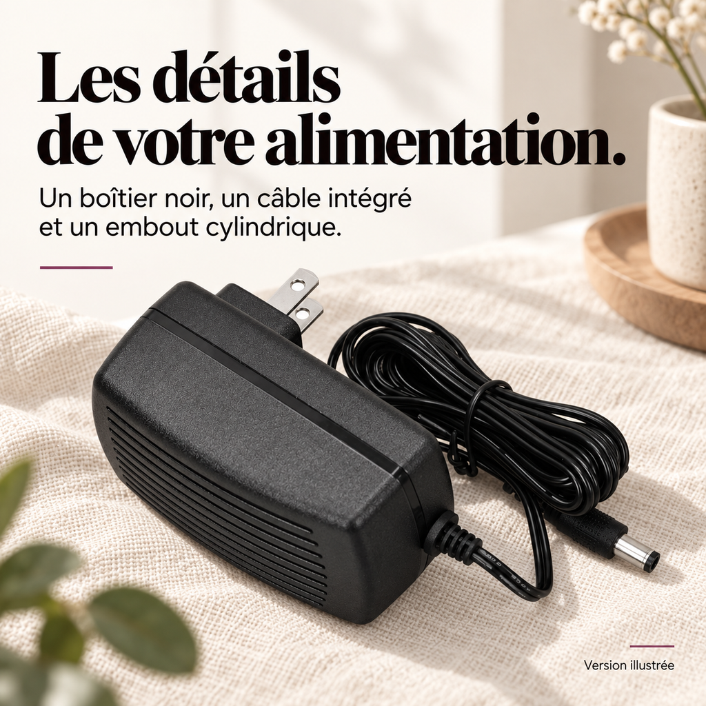 Adaptateur secteur pour masseur de pieds : présentation du modèle, visuel 6.