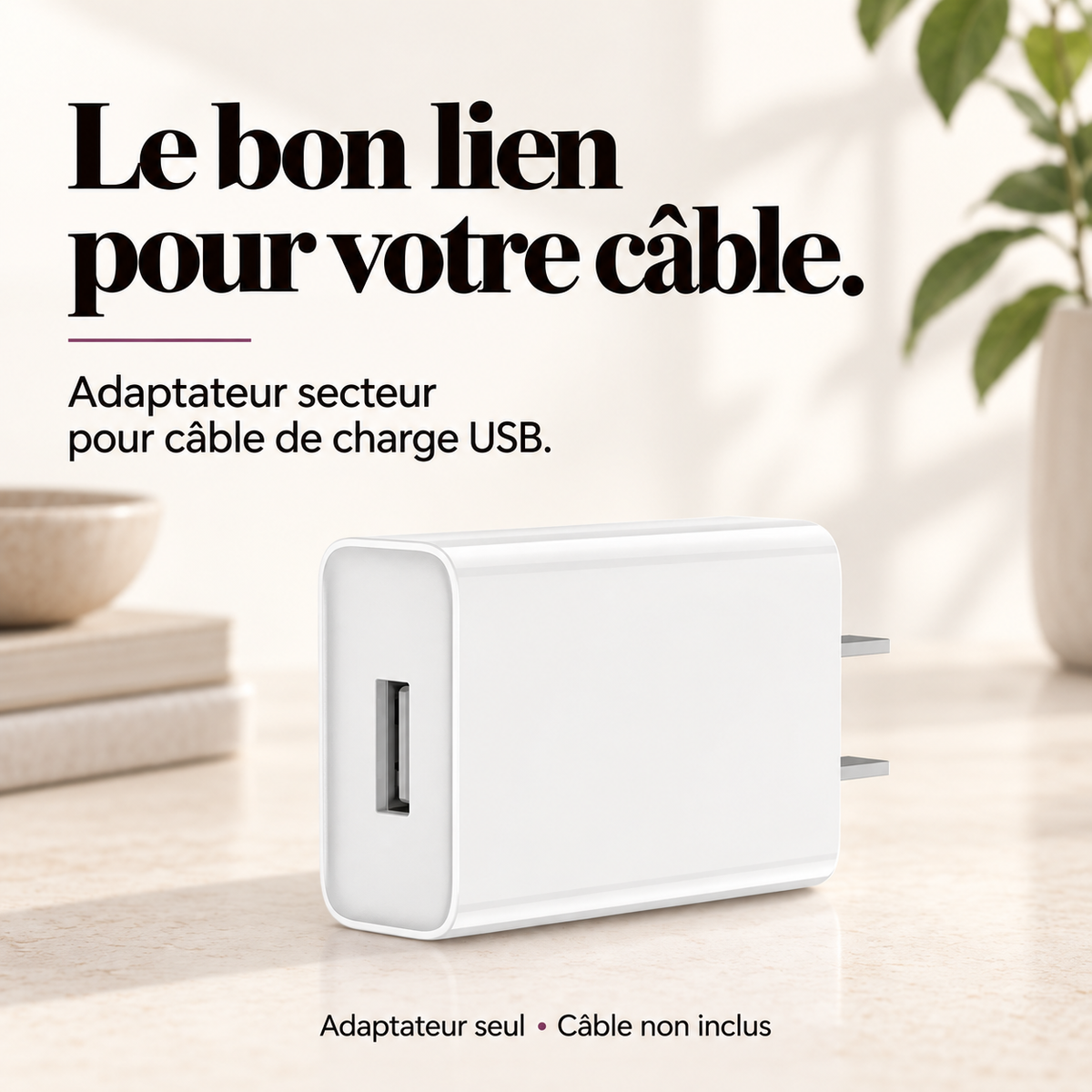 Adaptateur secteur pour câble de charge USB : présentation du modèle, visuel 2.